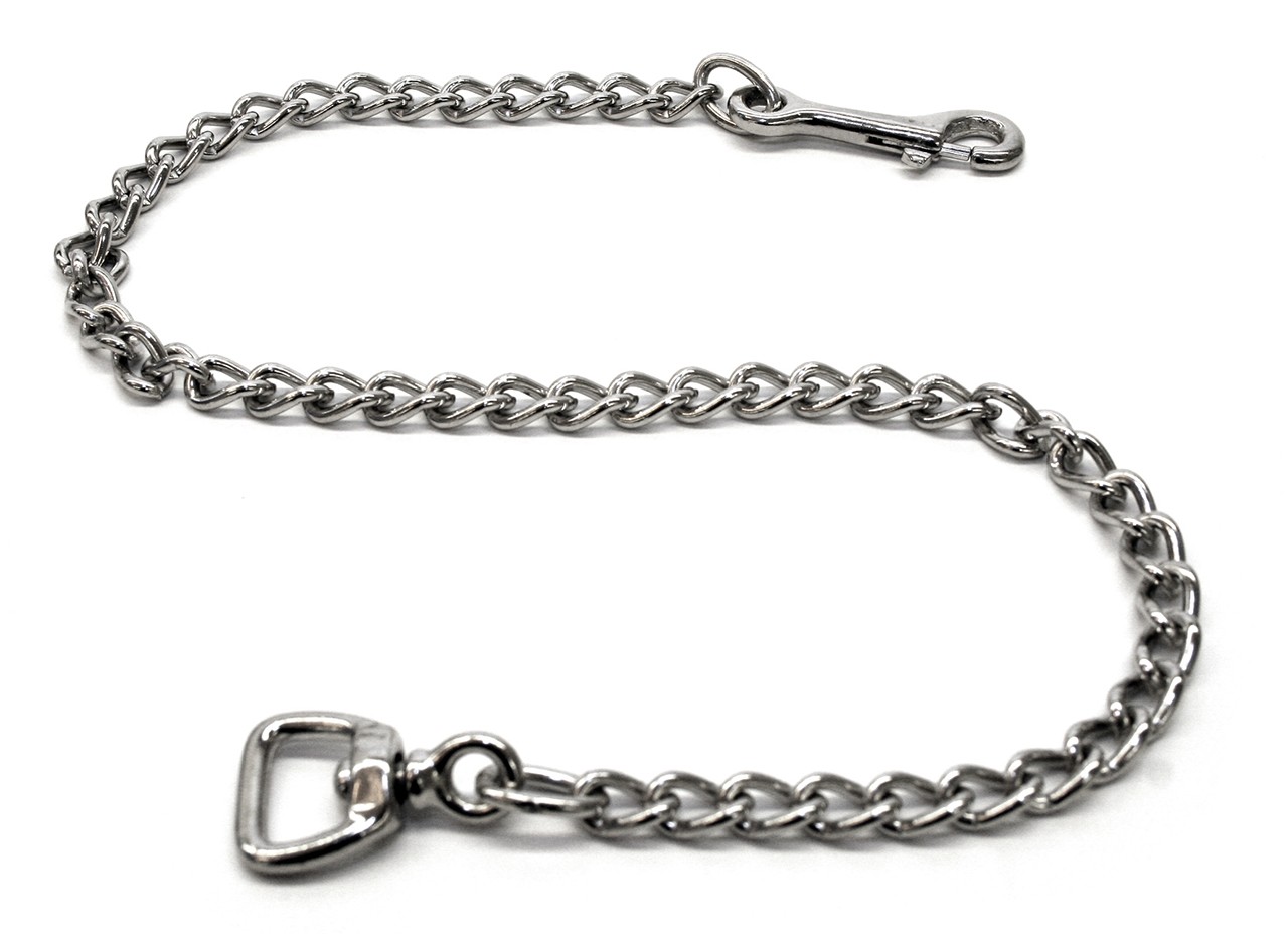 Karabiner mit Kette und Wirbel