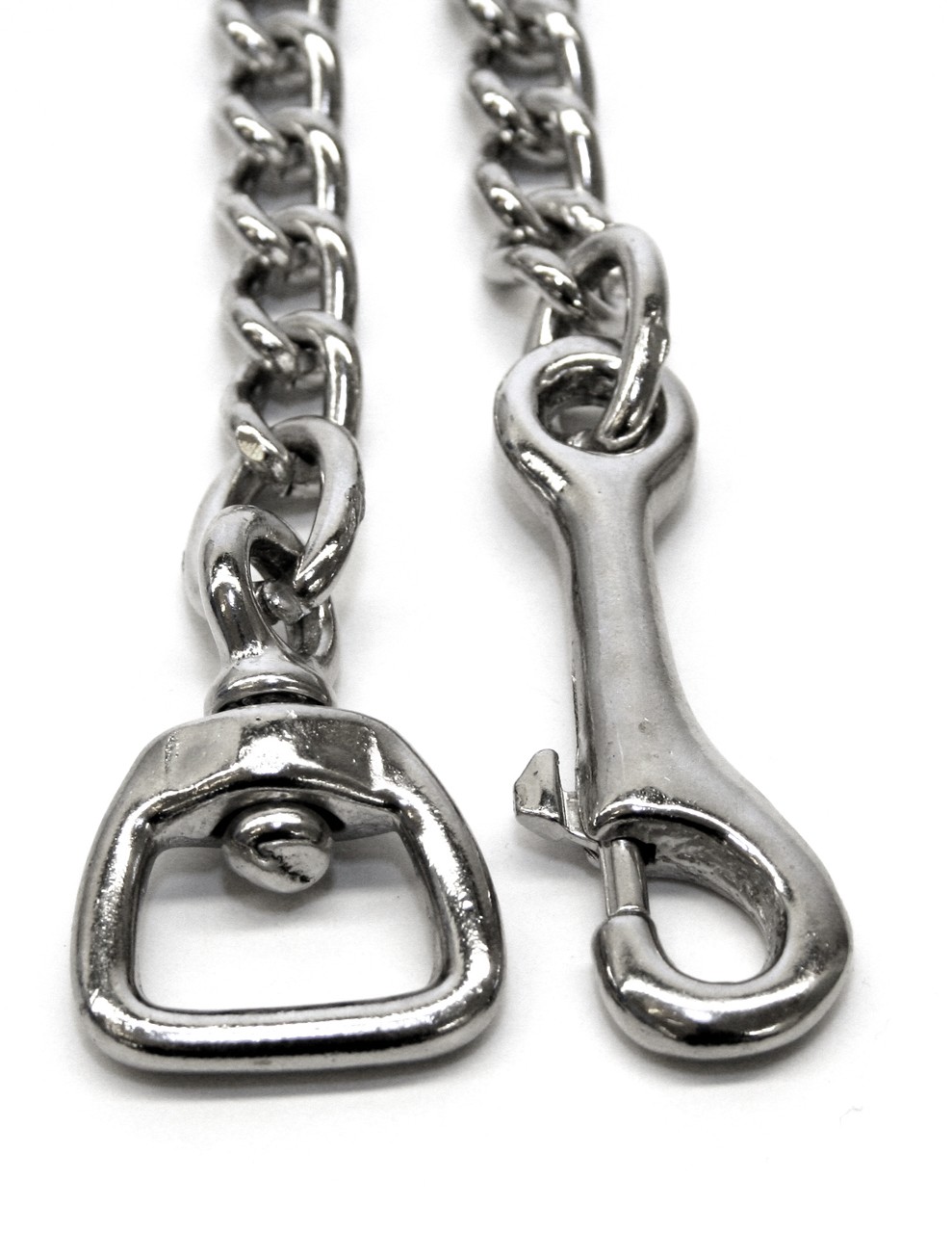 Karabiner mit Kette und Wirbel